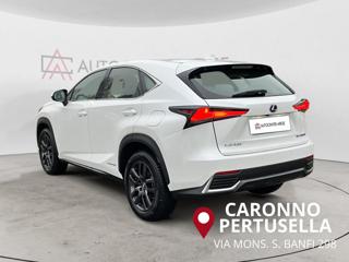 LEXUS NX 300 usata, con Airbag laterali