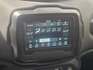 JEEP Renegade usata, con Antifurto