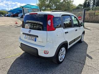 FIAT Panda usata 3