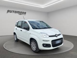 FIAT Panda usata 2