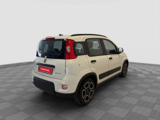 FIAT Panda usata 4