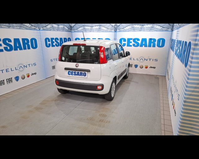 FIAT New Panda usata, con Airbag Passeggero
