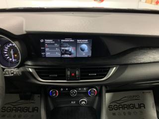 ALFA ROMEO Stelvio usata, con Cronologia tagliandi