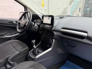 FORD EcoSport usata, con Fendinebbia