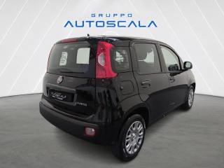 FIAT Pandina usata, con Antifurto