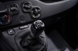 FIAT New Panda usata, con Airbag testa