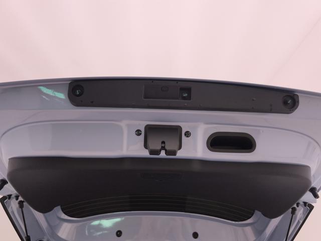 BYD Dolphin Surf usata, con Bracciolo