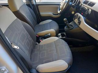 FIAT Panda usata 17