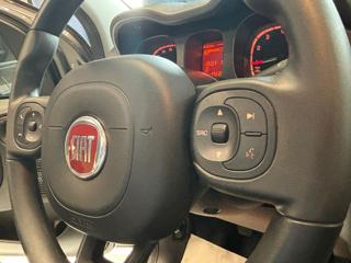FIAT Panda usata, con Cronologia tagliandi