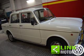 FIAT 1100 usata 13
