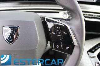 PEUGEOT 3008 usata, con Vetri oscurati