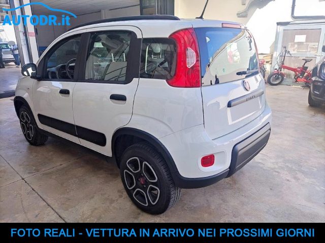 FIAT Panda usata, con Airbag Passeggero