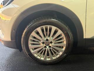 OPEL Grandland X usata, con Regolazione elettrica sedili