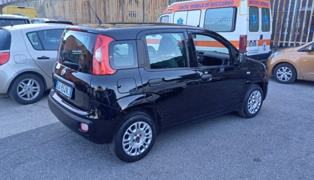 FIAT Panda usata, con Airbag Passeggero