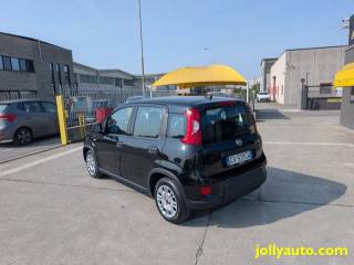 FIAT Panda usata 17
