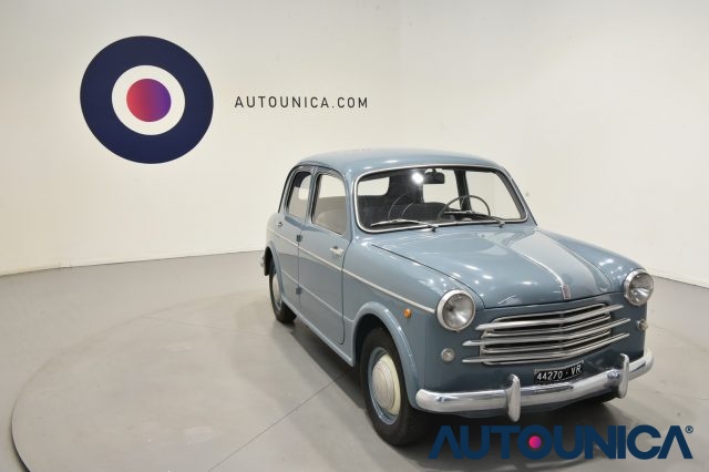 FIAT 1100 usata 57