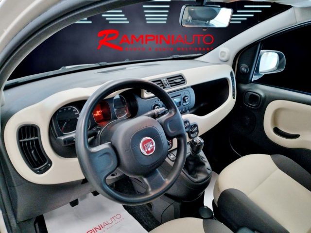 FIAT Panda usata 12