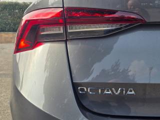 SKODA Octavia usata 84