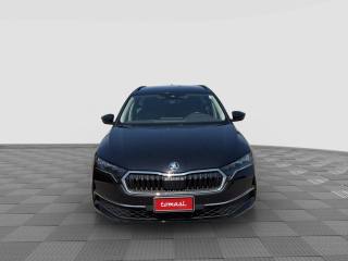 SKODA Octavia usata 7