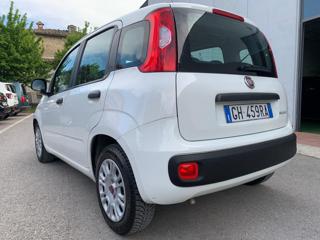 FIAT Panda usata, con Alzacristalli elettrici