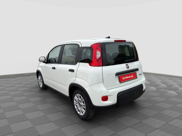 FIAT Panda usata 2