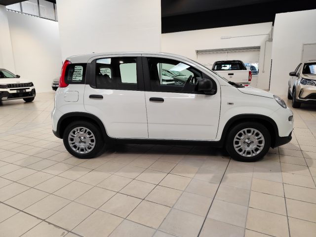 FIAT Panda usata, con Antifurto