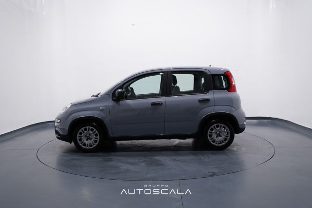 FIAT New Panda usata, con Controllo trazione