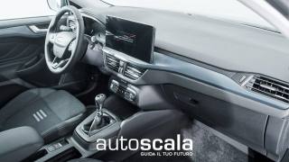FORD Focus usata, con Servosterzo