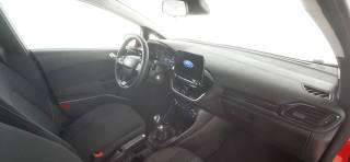 FORD Fiesta usata 50