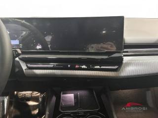 BMW 520 usata 14