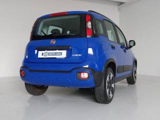 FIAT Panda usata, con Volante multifunzione