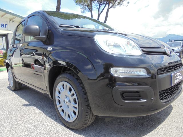 FIAT Panda usata 16
