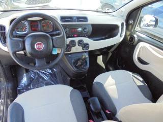 FIAT Panda usata 15