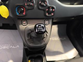 FIAT New Panda usata, con ESP