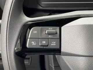 FIAT Doblo usata 20