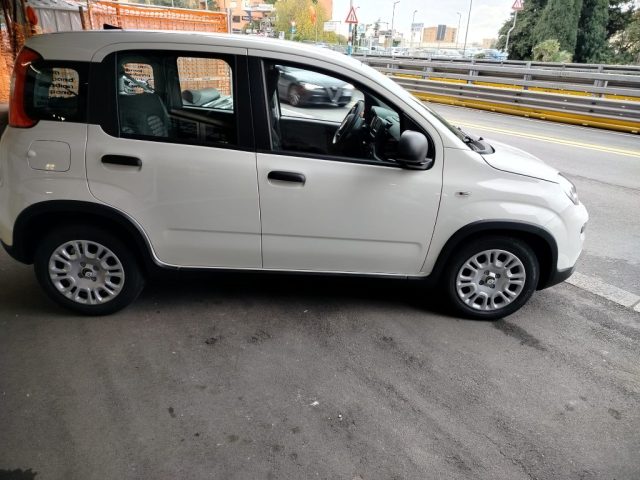FIAT Panda usata, con Airbag