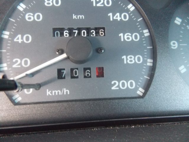 FIAT Punto usata 13
