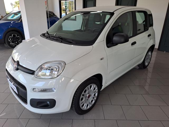 FIAT Panda usata, con Controllo trazione