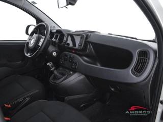 FIAT Panda usata 11
