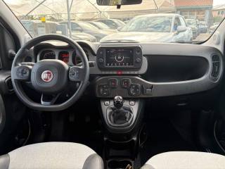 FIAT Panda Cross usata, con Climatizzatore