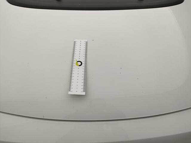 FIAT 500L usata 42