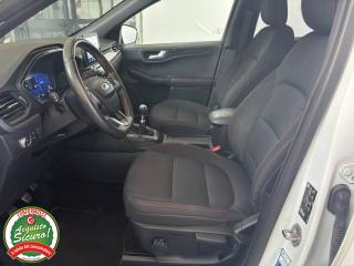 FORD Kuga usata, con Alzacristalli elettrici