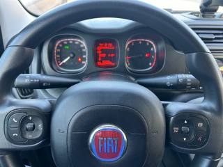 FIAT Panda usata, con Climatizzatore