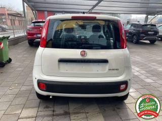FIAT Panda usata, con Boardcomputer