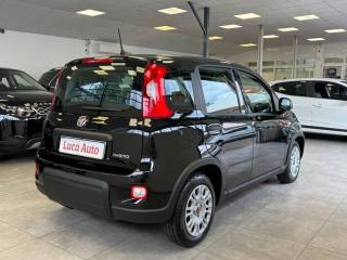 FIAT Panda usata, con Autoradio