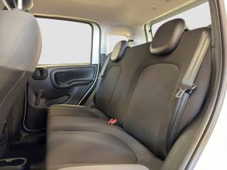 FIAT Panda usata 9