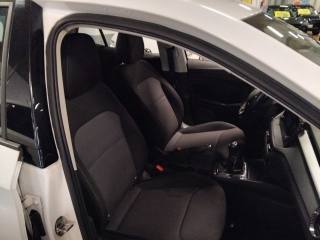 SKODA Fabia usata 12