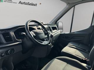 FORD Transit usata, con Fendinebbia