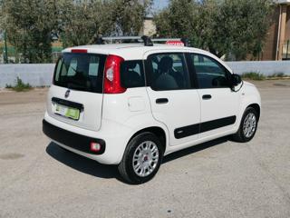 FIAT Panda usata, con Chiusura centralizzata