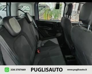 FIAT Panda Cross usata, con Airbag testa